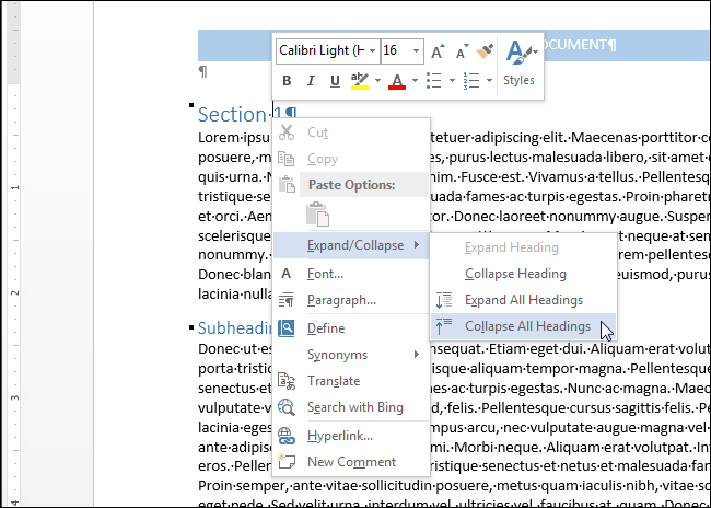 microsoft word collapsible sections